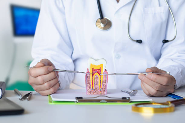 Best Emergency Cosmetic Dentistry in Laflin, PA